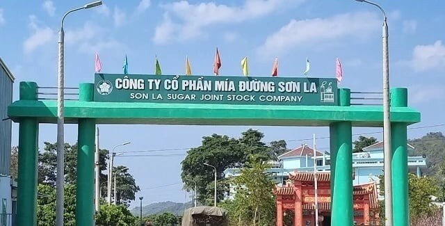 Khối tài sản 400 tỷ và "lương hưu" chục tỷ của cụ bà U90