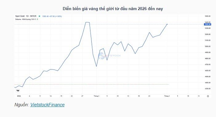 Giá vàng vững trên 5,300 USD: Chuyên gia cảnh báo rủi ro "lướt sóng", giữ tỷ trọng 5-10% tài sản