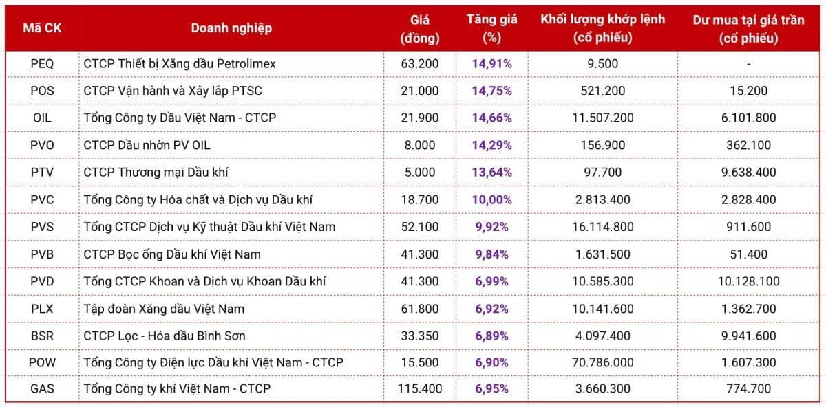 Xoay trục danh mục khi cổ phiếu dầu khí đứt mạch tăng