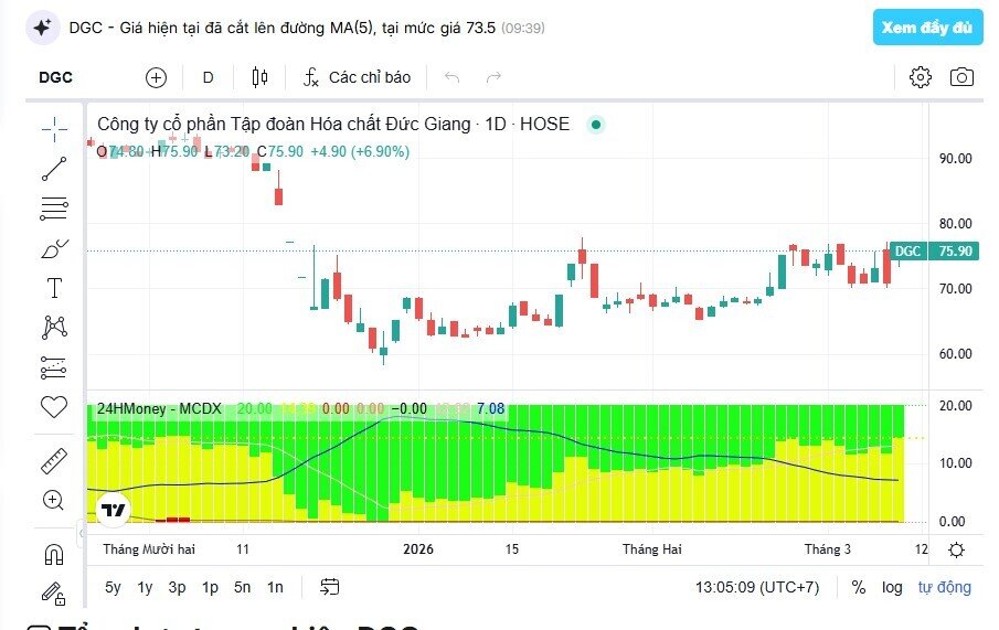 Điều gì khiến dòng tiền ồ ạt đổ vào cổ phiếu DGC?