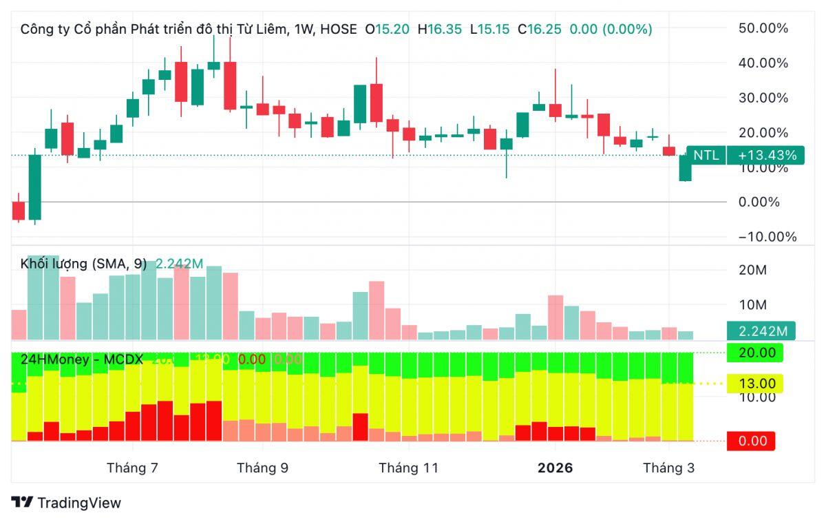 Chuyện lạ trên sàn: Công ty địa ốc giao Chủ tịch HĐQT 150 tỷ đầu tư chứng khoán