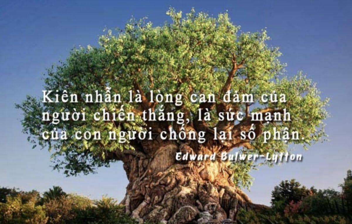 4 kiểu người càng kiên nhẫn càng dễ thành công: Bạn có nằm trong số này?