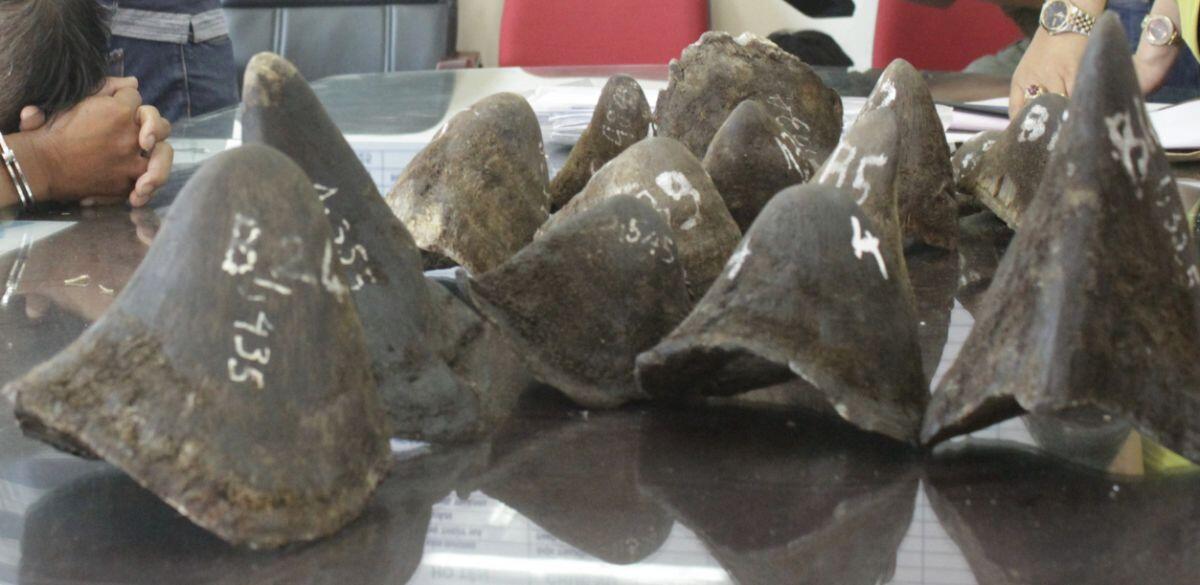 “Đại gia kim cương” Chu Đăng Khoa giàu cỡ nào trước khi bị bắt ở Nam Phi?