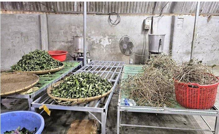 "Thần y" dỏm với "bài thuốc gia truyền 3 đời" Hoàng Minh Đường khiến hàng ngàn người sập bẫy