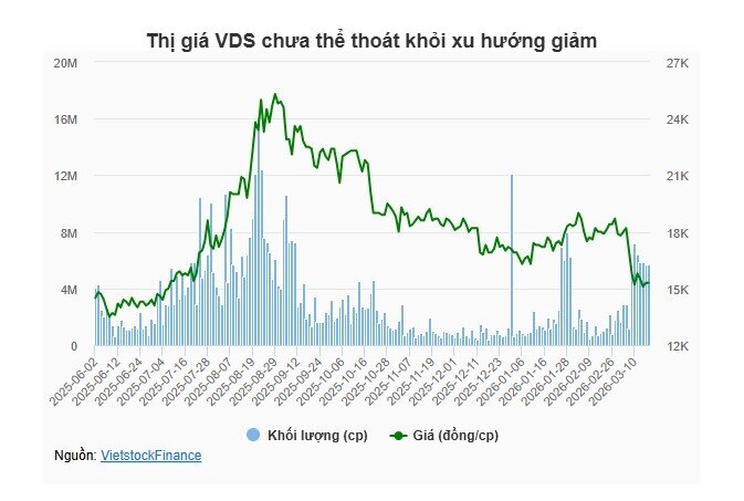 Thị giá VDS tiếp tục điều chỉnh, một tổ chức miệt mài mua gom vượt ngưỡng 20% vốn