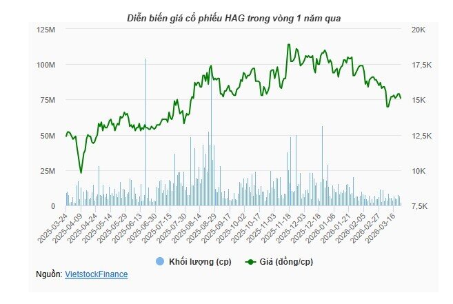 Bầu Đức đăng ký mua thêm 4 triệu cp HAG, nối dài chuỗi gom hàng