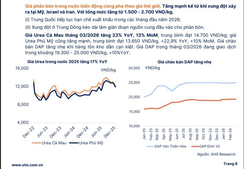 Giá phân bón bùng nổ do xung đột, dòng tiền đổ vào cổ phiếu nào?