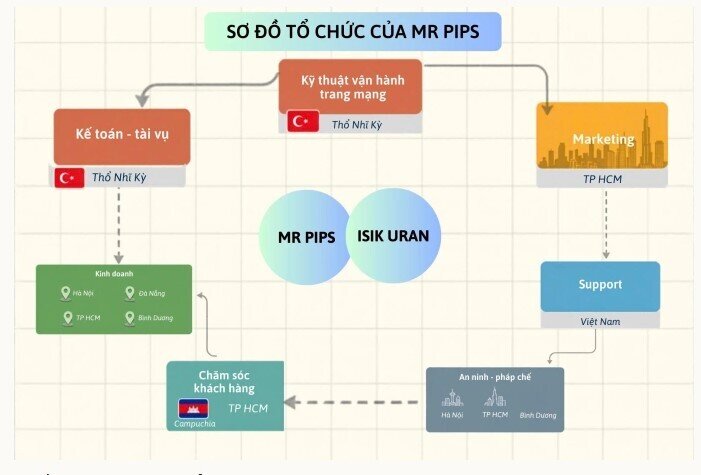 Nhiều phụ nữ mất hàng chục tỷ đồng vì tin 'cỗ máy làm giàu' của Mr Pips