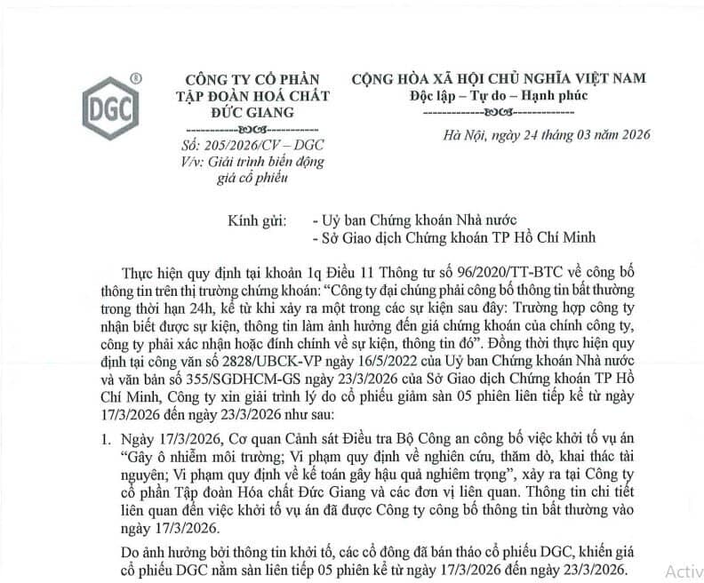 Cổ phiếu lao dốc, 20.000 cổ đông thiệt hại nặng: DGC giải thích ra sao?