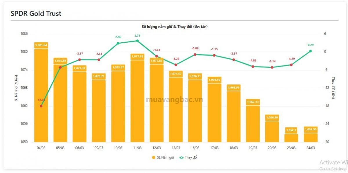 Giá quay đầu, “cá mập” vàng, bạc hành động ra sao?