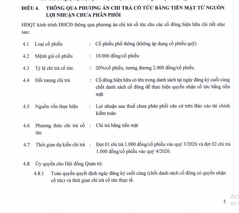 MWG dự chi số tiền kỷ lục trả cổ tức tiền mặt cho cổ đông
