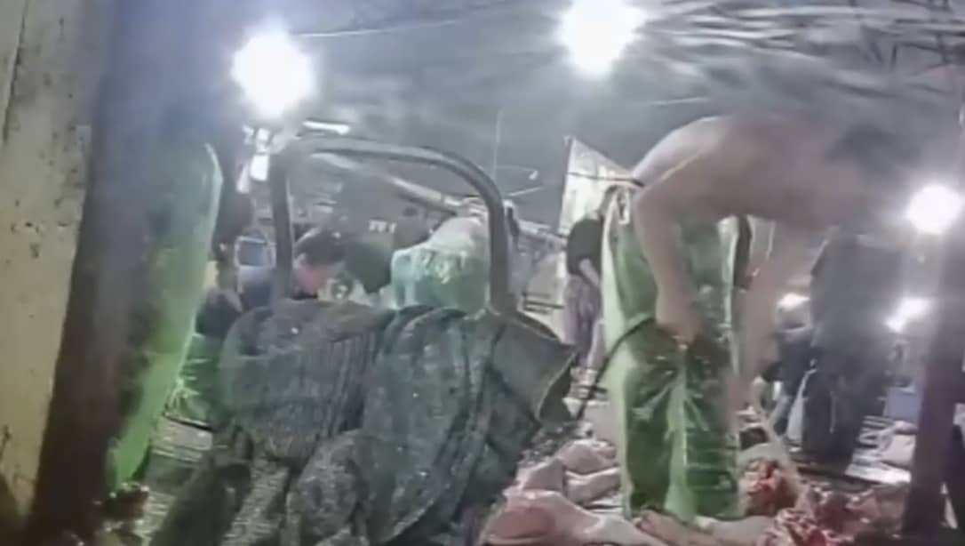 Thịt lợn bệnh “lọt” vào trường học: Công an Hà Nội kiểm tra diện rộng