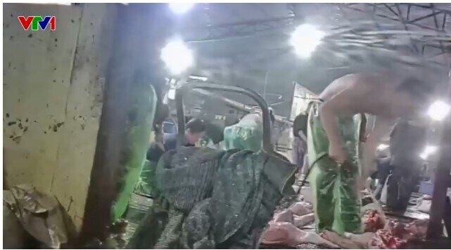 Rúng động: Hàng trăm trường học Hà Nội liên quan đường dây thịt lợn bệnh