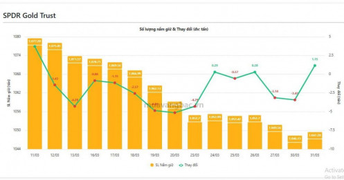 “Cá mập” quay lại gom vàng