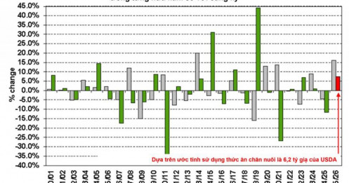 Tại sao những báo cáo định kỳ của Bộ Nông nghiệp Hoa Kỳ (USDA) lại có thể khiến thị trường đảo lộn ngay cả khi không có một "cú sốc" lớn nào?