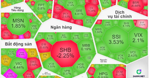 VN-Index chinh phục mốc 1700: Dòng tiền nội khẳng định vị thế quyền lực