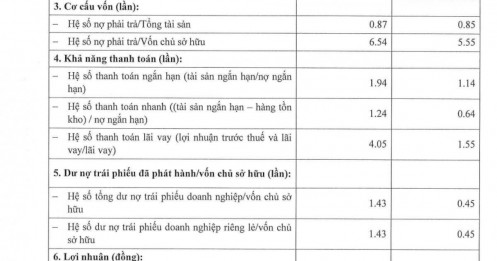 Hậu "giải cứu" Aqua City: Hé lộ con số nợ vay gây choáng, gấp 5 lần vốn chủ