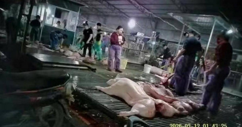 Phụ huynh thà vất vả đưa đón còn hơn để con ăn "thịt bẩn"