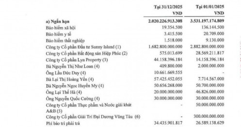 Quốc Cường Gia Lai (QCG) trả 1.300 tỷ đồng nợ cho bà Trương Mỹ Lan