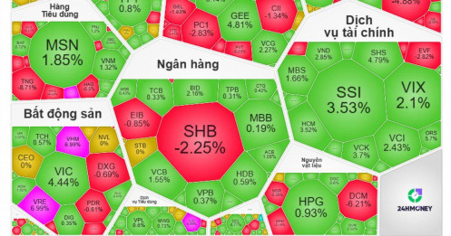 VN-Index càng tăng, tài khoản càng… xa bờ?
