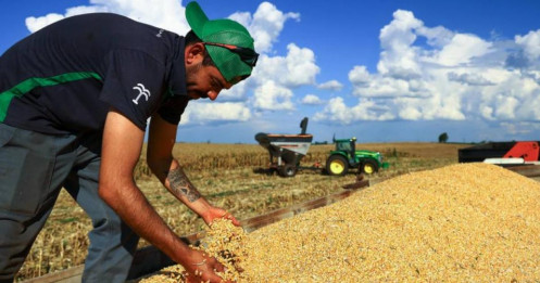 Chiến tranh Iran có thể phá vỡ an ninh lương thực toàn cầu như thế nào?