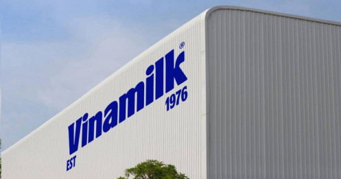 Vinamilk (VNM) Và Điểm Rơi Lợi Nhuận 2026: Những Đại Dự Án Nghìn Tỷ Sắp Về Đích