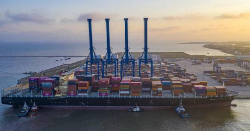 VSC (CTCP Container Việt Nam) 2026: Phía sau M&A và những điều nhà đầu tư cần biết