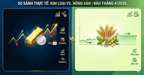 Điểm nhấn dòng tiền ngắn hạn: Vàng neo đỉnh lịch sử & Nông sản tích lũy!