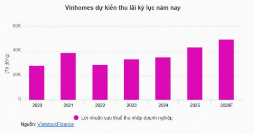 Vinhomes đặt mục tiêu lãi 50.000 tỷ, dự chi gần 25.000 tỷ đồng cổ tức tiền mặt