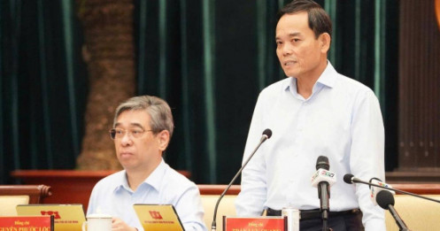 TP HCM sẽ miễn phí xe buýt cho toàn dân