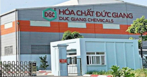 DGC đảo chiều ngoạn mục: Lực mua trần bùng nổ, chuyện gì phía sau?