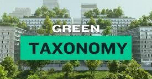 Danh mục xanh quốc gia và phát triển tín dụng xanh tại Việt Nam: Vai trò đối với hệ thống ngân hàng và hàm ý chính sách