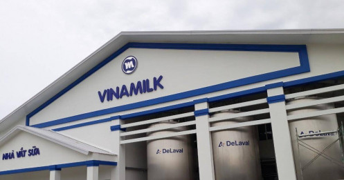 Vinamilk đẩy mạnh đầu tư nghìn tỷ, tăng tốc mở rộng chuỗi giá trị từ 2026