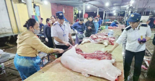 Lỗ hổng kiểm dịch và bài toán lương tâm ngành thú y