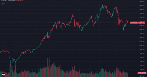 VN-Index “Sáng Hưng Phấn - Chiều Sập”: Cảnh Báo Pha Phân Phối Đầu Tiên Hay Chỉ Là Nhịp Rũ Bỏ?
