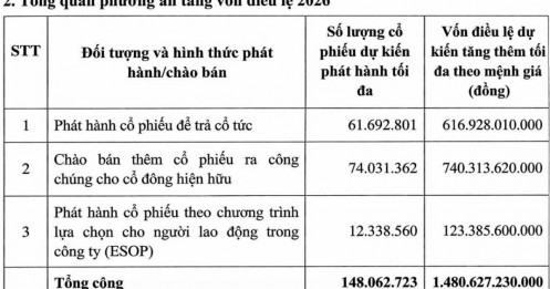 PC1 chi trả cổ tức và phát hành quyền mua - Ý đồ đằng sau bên trong?