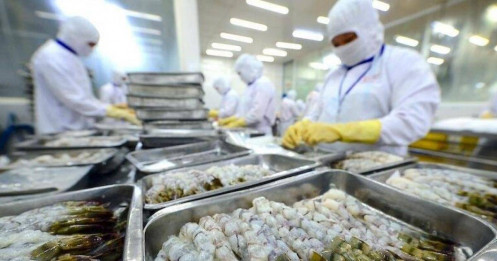 Cuộc đại tu ngành thủy sản từ áp lực thẻ vàng EC