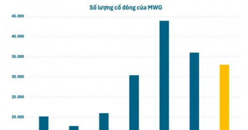 Hàng chục nghìn cổ đông “rời tàu” MWG