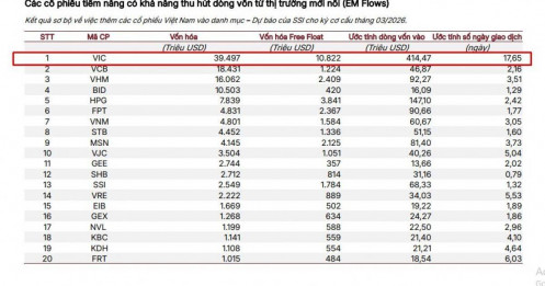 Gần 11.000 tỷ đồng vốn ngoại có thể đổ vào một mã VN30