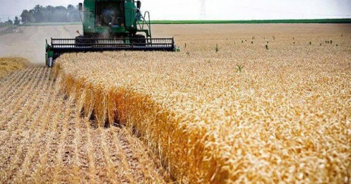 Nông sản tăng động lực khi thương mại quốc tế và căng thẳng địa chính trị cùng tác động