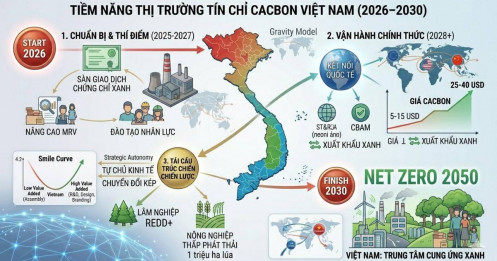 Kỷ Nguyên "Ngoại Tệ Xanh" Tiềm Năng và Lộ Trình Phát Triển Thị Trường Tín Chỉ Carbon Tại Việt Nam giai đoạn 2026 đến 2030