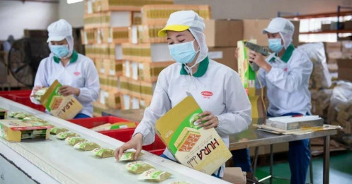 Bibica chính thức về tay đại gia Indonesia