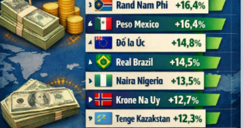 Bảng xếp hạng gây sốc: Đồng tiền nào đang “đè bẹp” USD?