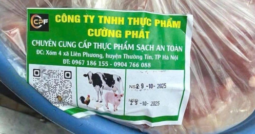 Ai mở cửa cho 300 tấn lợn bệnh "vượt rào" vào 26 trường công lập?