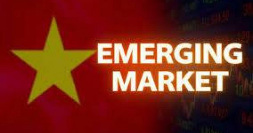 Cả Dòng Chứng Khoán “Tím Lịm” Sau Tin Nâng Hạng… Nhưng KQKD Q1 Lại Hé Lộ Một Sự Thật Ngược Dòng?