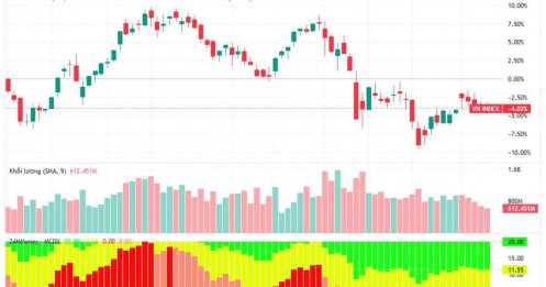 Định giá thấp hơn trung bình 5 năm, vì sao dòng tiền lớn vẫn “đứng ngoài” VN-Index?