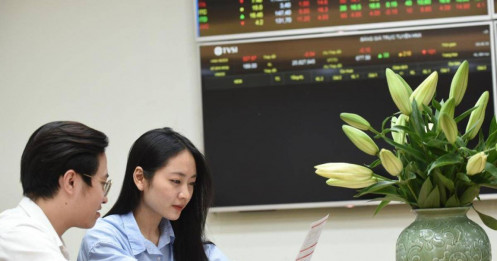 Nhận diện những "ngựa chiến" dẫn dắt sóng hồi phục