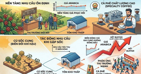 Tồn kho thấp nhưng giá cà phê vẫn giảm: Định giá sai?