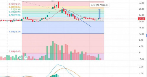 Cắt lỗ nhóm dầu khí ở thời điểm hiện tại chưa chắc đã là 1 quyết định hoàn toàn chính xác!