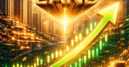 NVL kinh doanh đắc lợi - Bất động sản thức giấc vùng tạo đáy